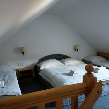 ゲストハウス Klastersky Mlyn